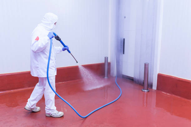 Best Restaurant Pressure Washing  in Ravena, NY